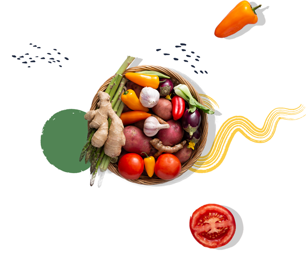 Catering Wegetariański Lightbox - dieta wegetariańska
